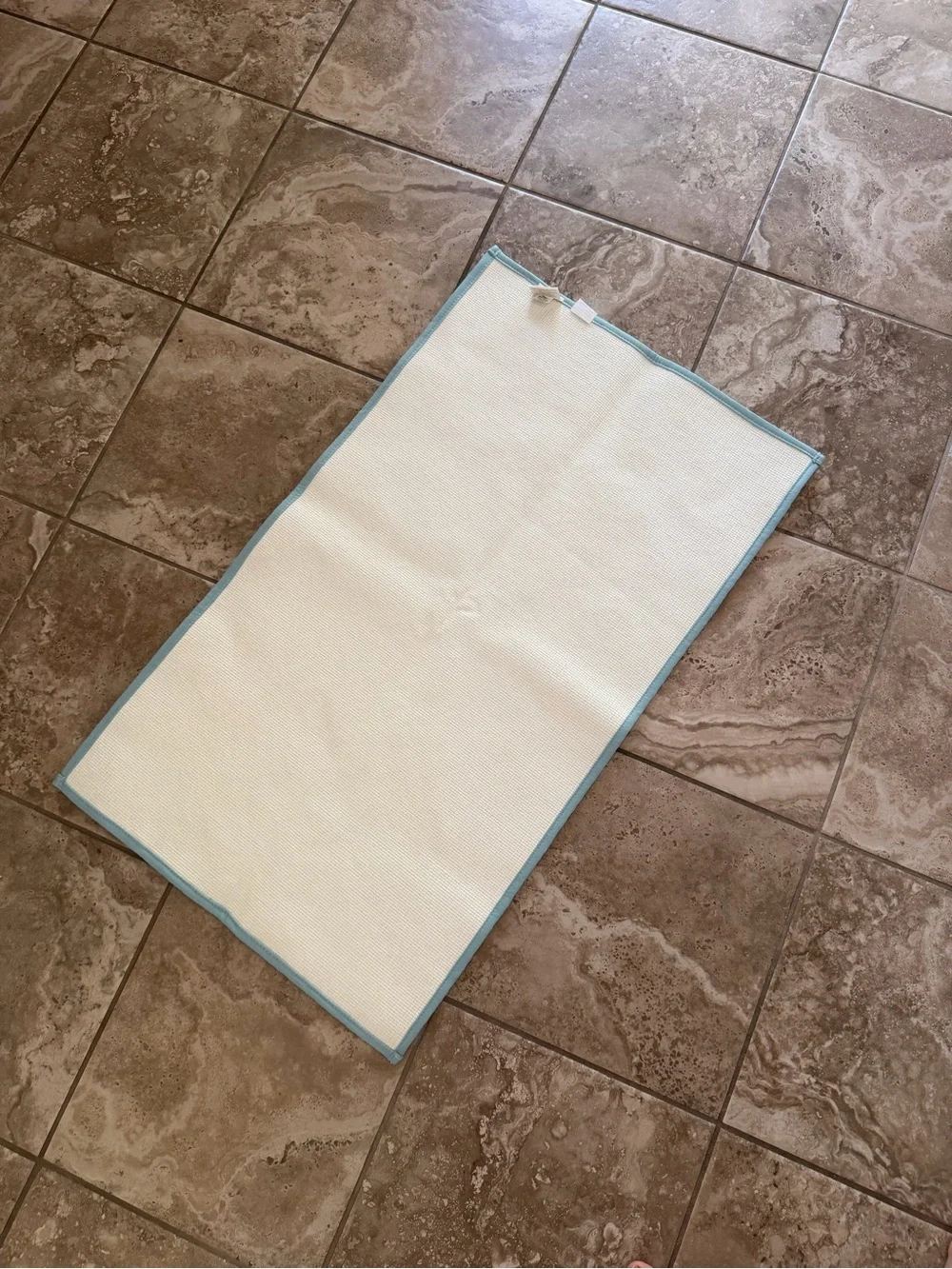 Brand New Plush Aqua Bath Rug